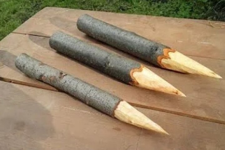 Осиновые колья